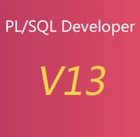 PLSQL Developer 13.0.6 X64  英文原版安装包+汉化包