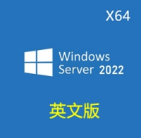 原版 英文版 Windows Server 2022 X64 官方MSDN