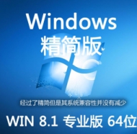 精简版 简体中文 WIN8.1 SP1 专业版 64位 ISO镜像包