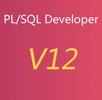 PLSQL Developer 12.0.1.1814 X64  英文+汉化包