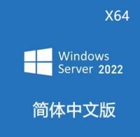 原版 简体中文版 Windows Server 2022 X64 官方MSDN
