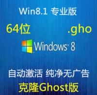 克隆版 简体中文 Windows 8.1 专业版 纯净完整版 64位 GHO