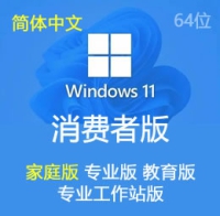 原版 简体中文 Windows 11 家庭版 专业版 教育版 工作站版 23H2 64位