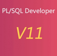 PLSQL Developer 11.0.5 X64 原版安装包 含中文语言包