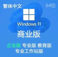 原版 繁体中文 Windows 11 企业版 专业版 教育版 工作站版 23H2 64位