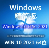 精简版  简体中文 WIN10 Enterprise 2021 LTSC 企业版 64位 ISO