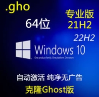 克隆版  简体中文 Windows 10 专业版 22H2 21H2 纯净完整版 64位 GHO