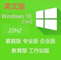 原版 英文版 Windows 10 21H2 22H2 专业版 企业版 64位