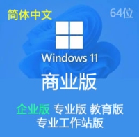 原版 简体中文 Windows 11 企业版 专业版 教育版 工作站版 23H2 64位