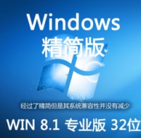 精简版 简体中文 WIN8.1 SP1 专业版 32位 ISO镜像包