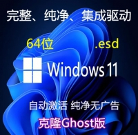 克隆版  简体中文 Windows 11 专业版 纯净完整版 64位
