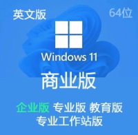 原版 英文版 Windows 11 企业版 专业版 教育版 工作站版 23H2 64位